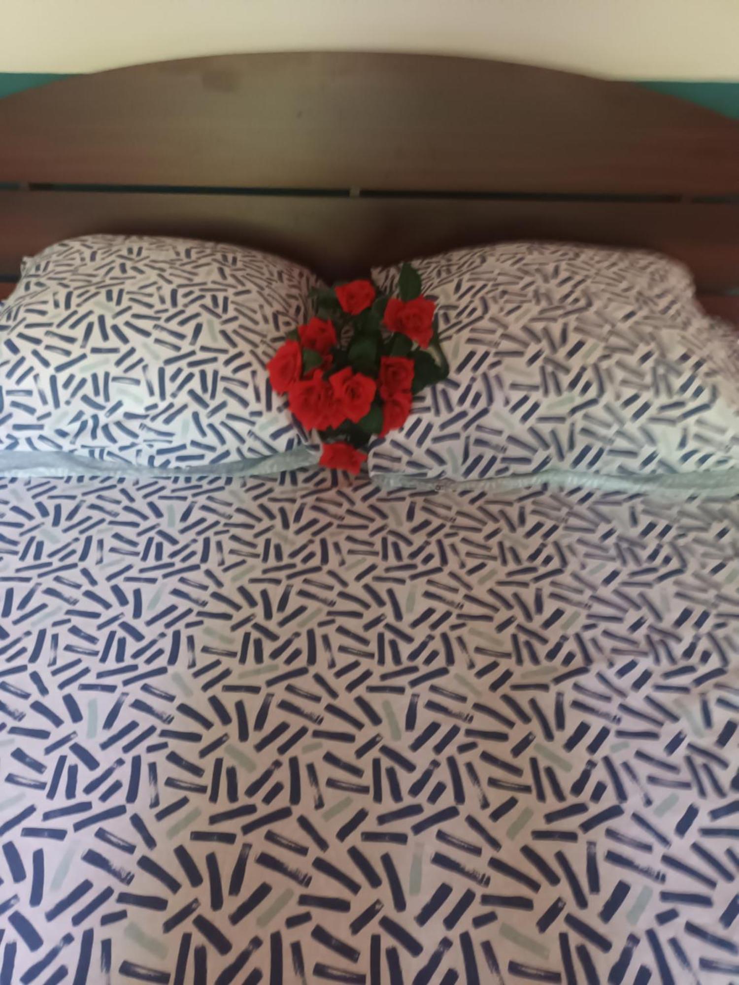 Lovely Flowers In Mount Lavinia Dehiwala-Mount Lavinia Dış mekan fotoğraf