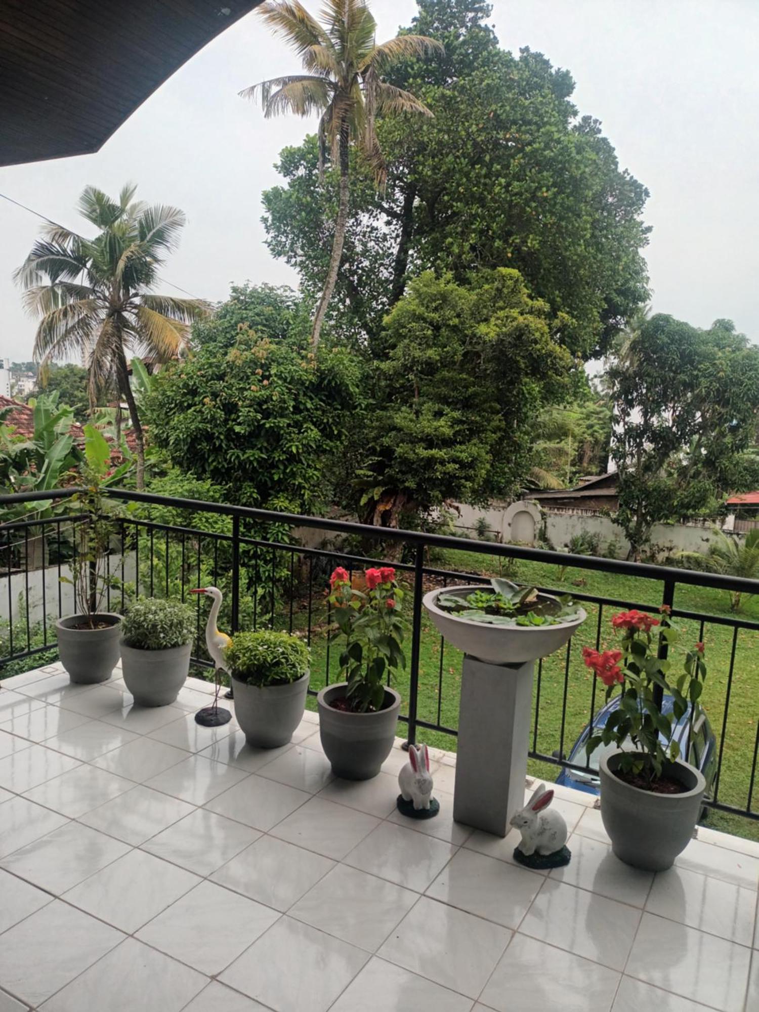 Lovely Flowers In Mount Lavinia Dehiwala-Mount Lavinia Dış mekan fotoğraf
